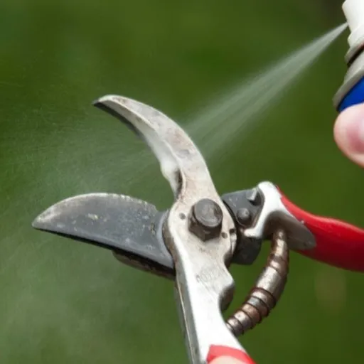 Maintenance Tips for Tool Longevity